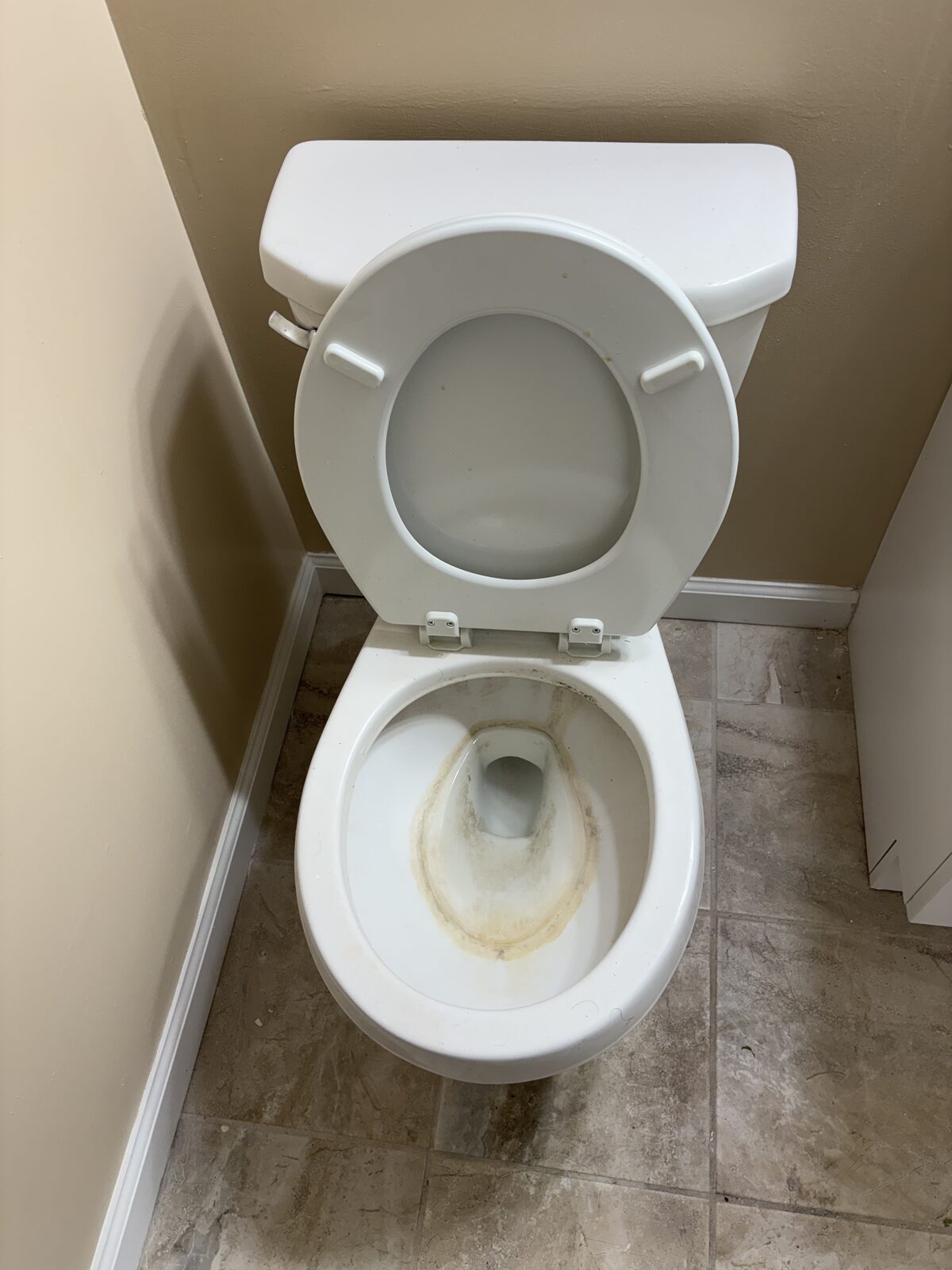 Toilet deep-clean (before)
