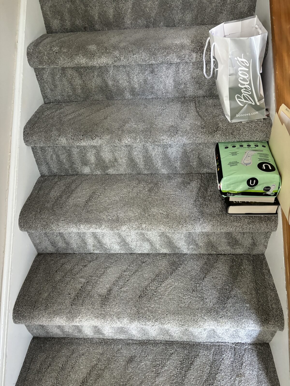 Stair carpet vacuum lines