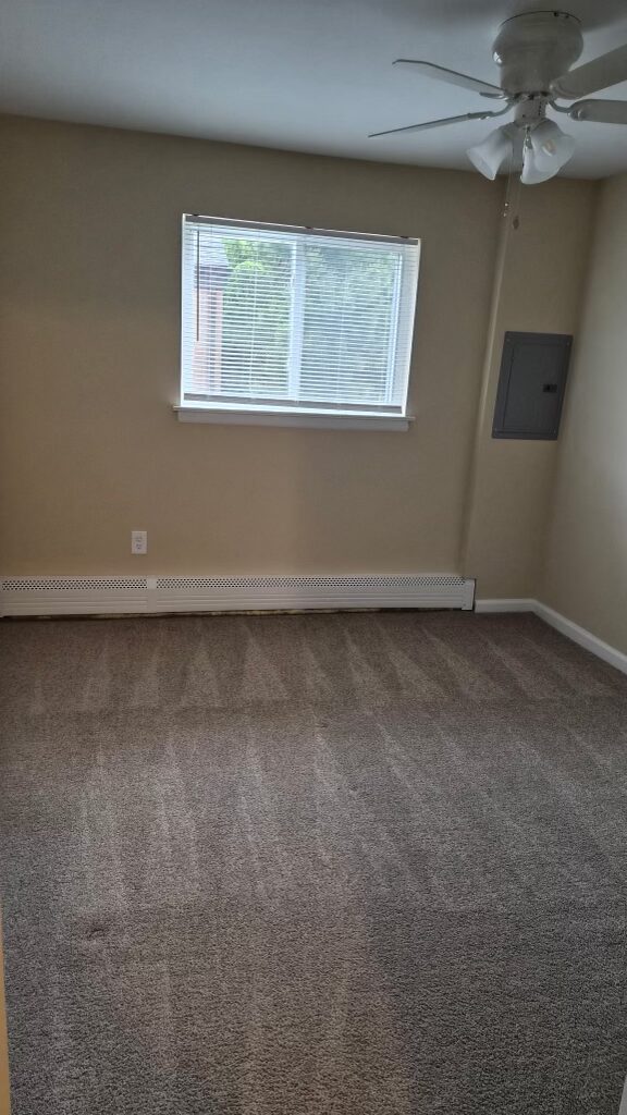Freshly vacuumed bedroom