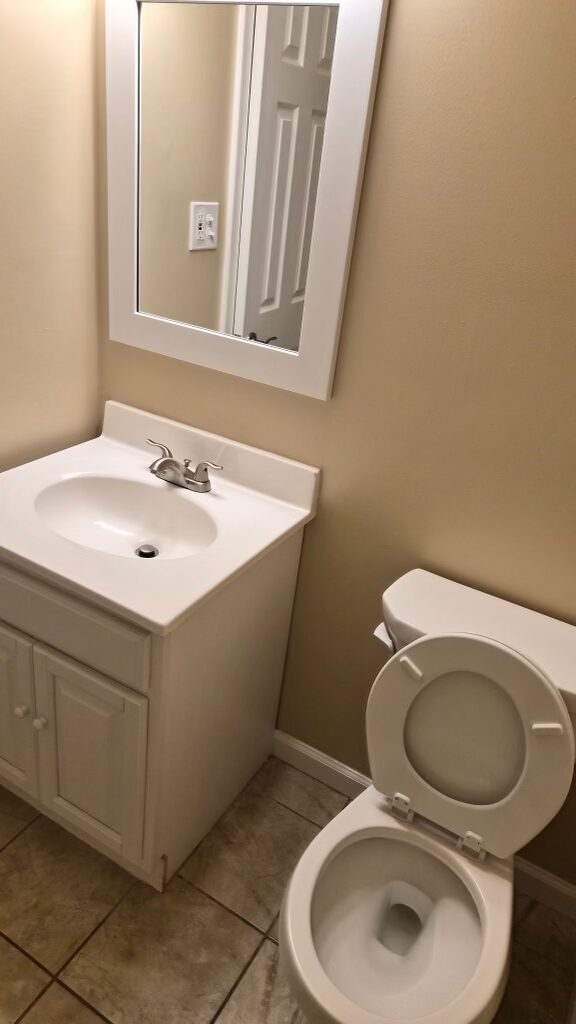 Vanity & toilet refresh