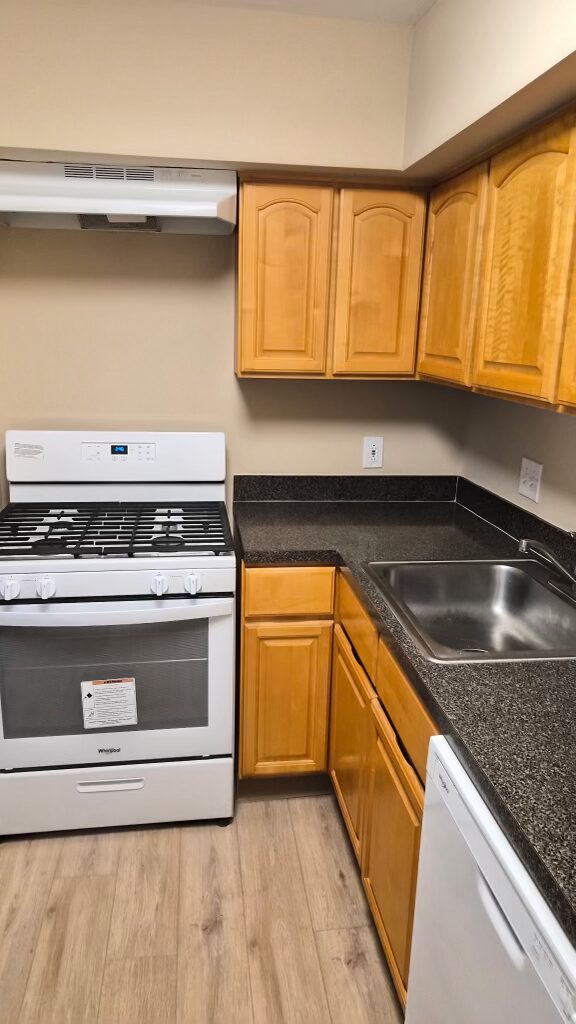 Spotless gas range & cabinets